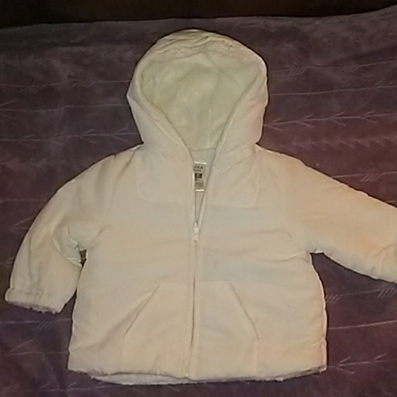 Zara Other - ZARA infant jacket (nwt) 3-6 months